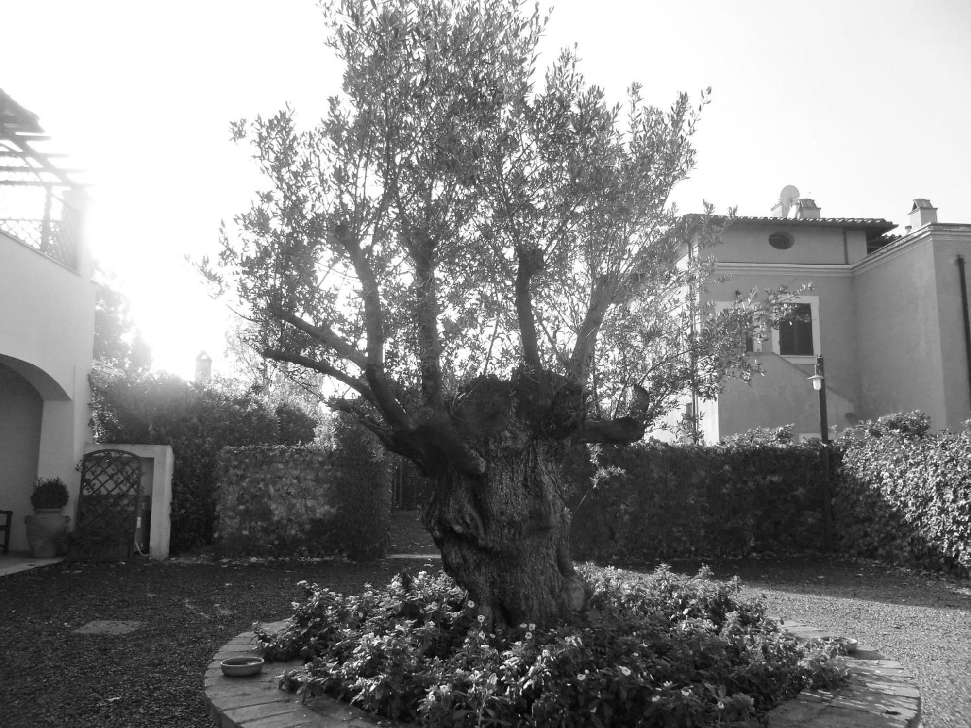 Casale Di Tormaggiore Villa And Country Suites Pomezia Exterior photo